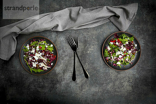 Studioaufnahme von zwei Tellern mit vegetarischem Salat mit Linsen  Rucola  Feta-Käse  Radicchio und Paprika
