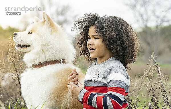 Junge schaut von Hund in der Natur weg