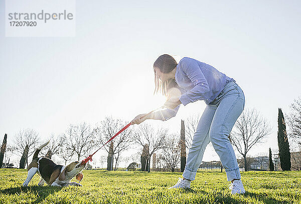 Frau zieht Hund an der Leine  während sie im Gras steht
