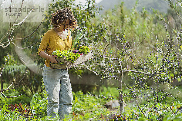Lockenhaarige Frau hält Kiste mit grünem Gemüse im Garten stehend