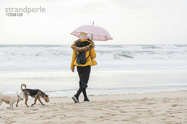 Junge Frau mit Regenschirm  die mit zwei Hunden am Sandstrand spazieren geht