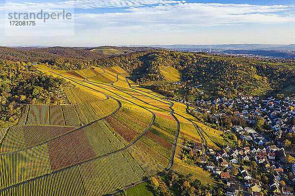 Deutschland  Baden Württemberg  Stuttgart  Luftaufnahme von Weinbergen im Herbst