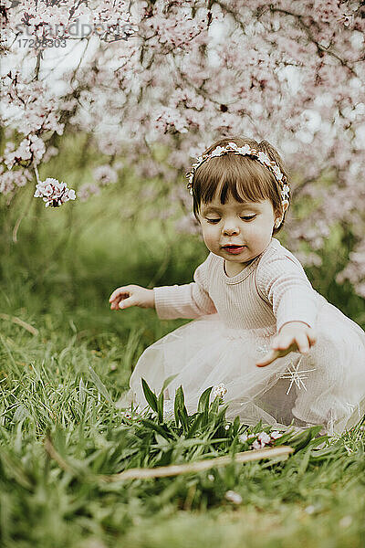 Baby Mädchen sitzt auf Gras in der Nähe von Kirschbaum im Frühling