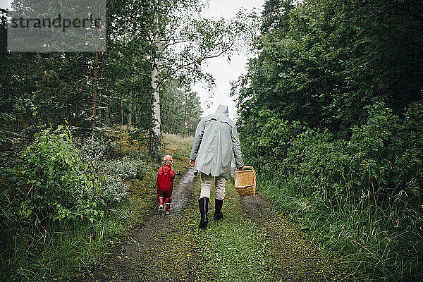 Rückansicht von Vater und Sohn beim Spaziergang im Wald