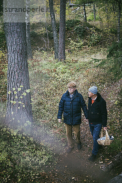 Homosexuelles Paar schaut weg  während es im Wald spazieren geht
