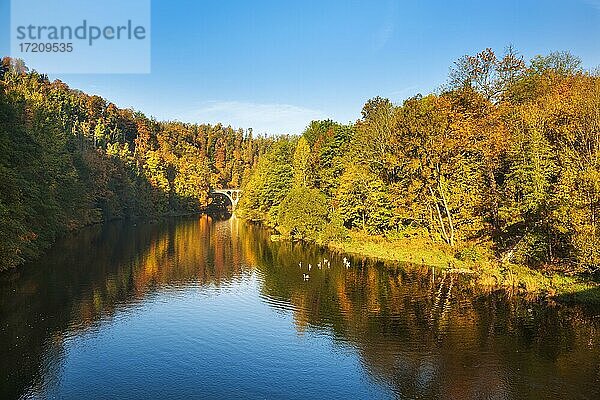 Herbst am Fluss Saale  bunter Wald spiegelt sich  bei Ziegenrück  Naturpark Thüringer Schiefergebirge/Obere Saale  Thüringen  Deutschland  Europa