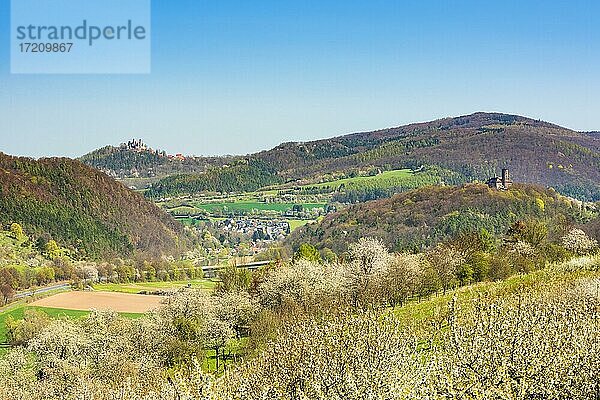 Zweiburgenblick  Aussicht ins Werratal im Frühling mit blühenden Kirschbäumen  hinten Burg Hanstein und Burg Ludwigstein  bei Witzenhausen  Hessen  Deutschland  Europa