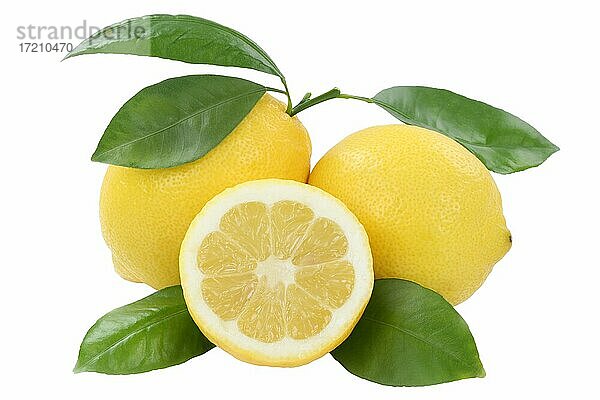 Zitrone Frucht Früchte Freisteller freigestellt isoliert vor einem weißen Hintergrund