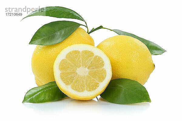 Zitrone Zitronen mit Blättern Früchte Freisteller freigestellt isoliert vor einem weißen Hintergrund