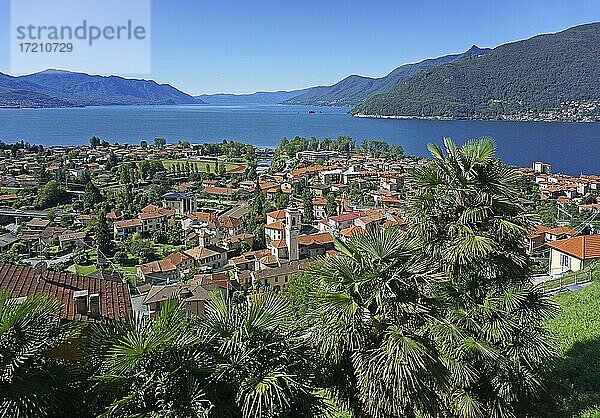 Panorama über Maccagno und den Lago Maggiore  Maccagno  Lago Maggiore  Lombardei  Italien  Europa