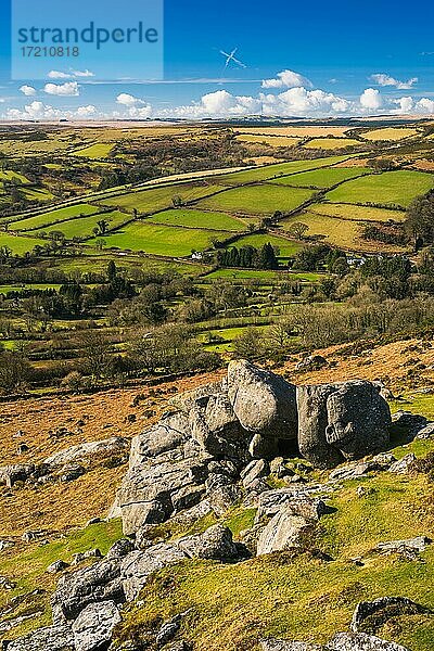 Felder und Wiesen in Haytor Rocks  Dartmoor Park  Devon  England  Vereinigtes Königreich