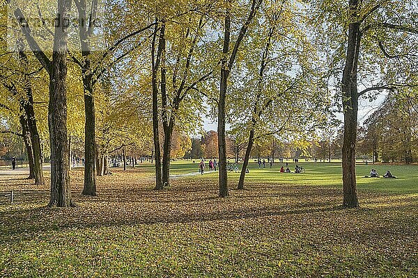 Herbststimmung mit Spaziergängern im Englischen Garten  Schwabing  München  Oberbayern  Bayern  Deutschland  Europa