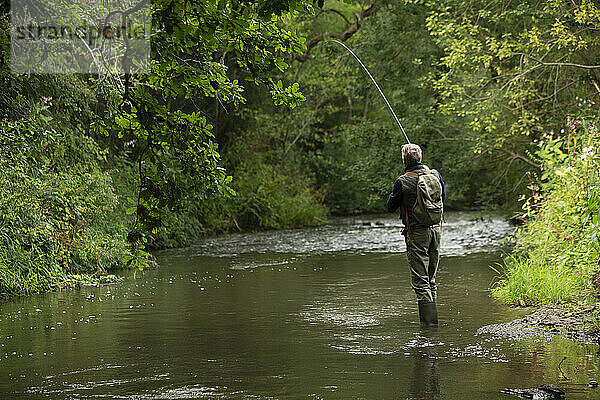 Mann Fliegenfischen am ruhigen grünen Fluss