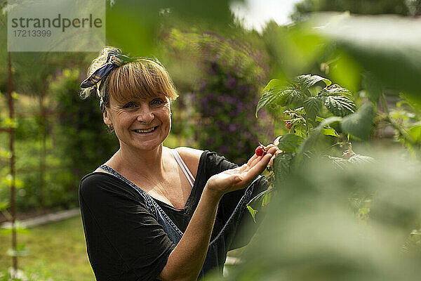 Porträt lächelnde Frau Ernte Himbeeren in sonnigen Sommergarten