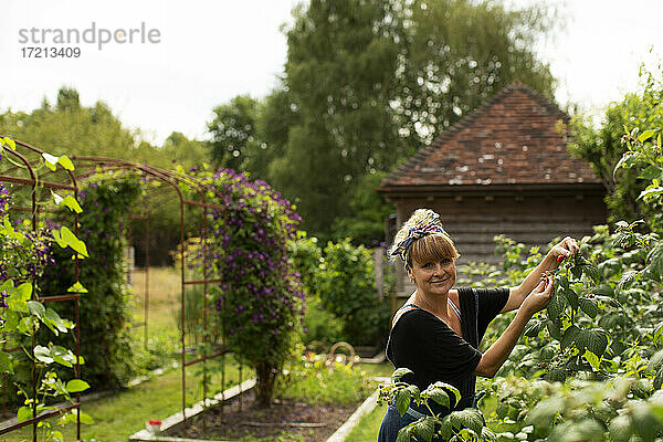 Porträt glückliche Frau  die sich um Pflanzen im sonnigen Cottage-Garten kümmert