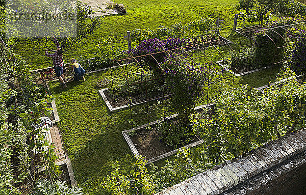 Paar Gartenarbeit in üppigen Sommergarten mit Hochbeeten