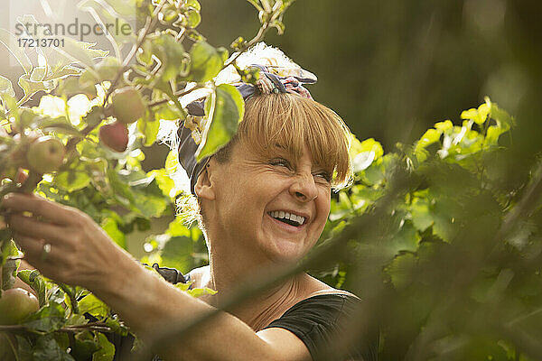 Glückliche Frau lachend in sonnigen Sommer Gemüsegarten