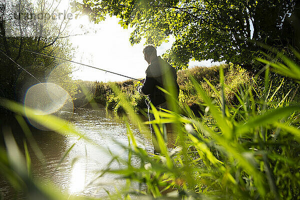Mann Fliegenfischen am sonnigen idyllischen Sommerfluss