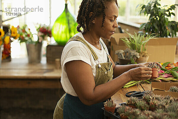 Weiblicher Florist mit winzigen Sukkulenten im Blumenladen