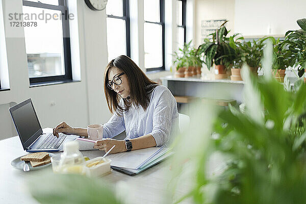 Geschäftsfrau arbeitet am Laptop im Büro mit Pflanzen