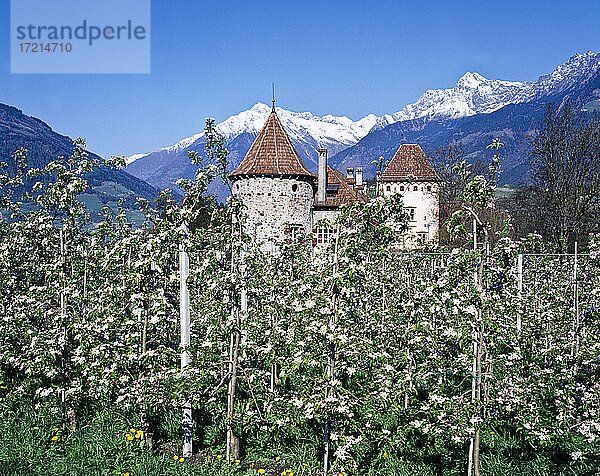 Suedtirol; Provinz Bozen; Landschaft; Burggrafenamt  Meran Obermais  Schloss  Burg  Schloss Planta| South Tyrol; Alto Adige; landscape;Burgraviato  Merano  maia alta  castello  castel Planta