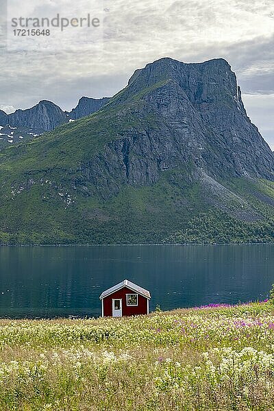 Typische Fischerhütte am Meer  Bucht mit Berg  Skaland  Senja  Norwegen  Europa