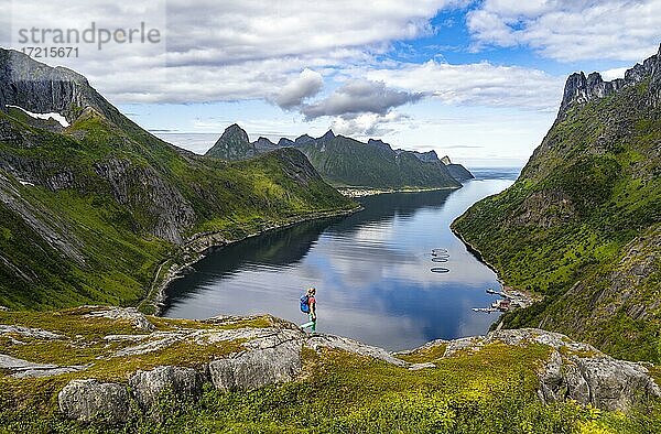 Fjord und Berge  hinten Fjordgard  Blick vom Berg Daven  junge Frau beim Wandern  Senja  Norwegen  Europa