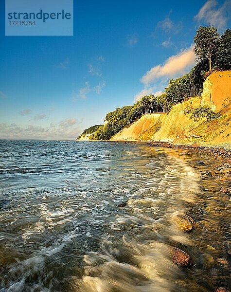 Kreidefelsen an der Ostsee im Morgenlicht  Nationalpark Jasmund  Insel Rügen  Mecklenburg-Vorpommern  Deutschland  Europa