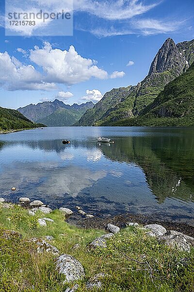 Fjord Higravfjord  Berge am Meer  Vesterålen  Nordland  Norwegen  Europa