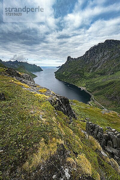 Fjord und Berge  Blick vom Berg Daven  Senja  Norwegen  Europa