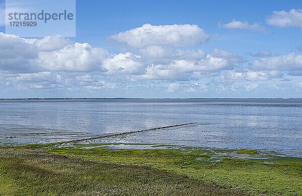 Wattenmeer  Morsum  Sylt  Nordfriesische Insel  Nordsee  Nordfriesland  Schleswig-Holstein  Deutschland  Europa