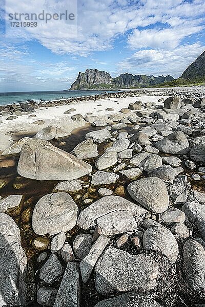 Küste und Berge  Steine am Sandstrand von Uttakleiv  Lofoten  Nordland  Norwegen  Europa