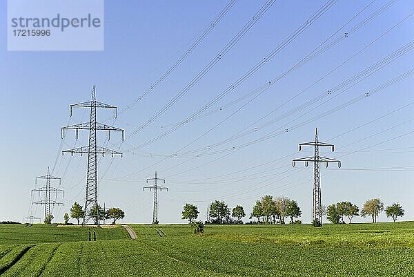 Hochspannungsmasten  Hochspannungsleitungen  Stromversorgung durch Überlandleitungen  blauer Himmel  Nordrhein-Westfalen  Deutschland  Europa