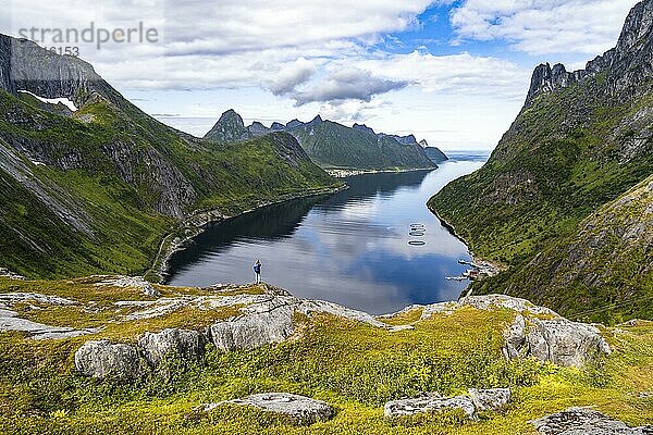 Fjord und Berge  hinten Fjordgard  Blick vom Berg Daven  junge Frau beim Wandern  Senja  Norwegen  Europa