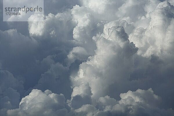 Gewitterwolken im Abendlicht  Provinz Quebec  Kanada  Nordamerika