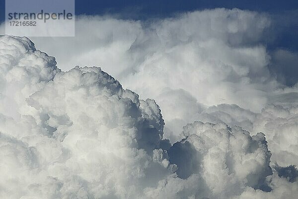 Gewitterwolken im Abendlicht  Provinz Quebec  Kanada  Nordamerika