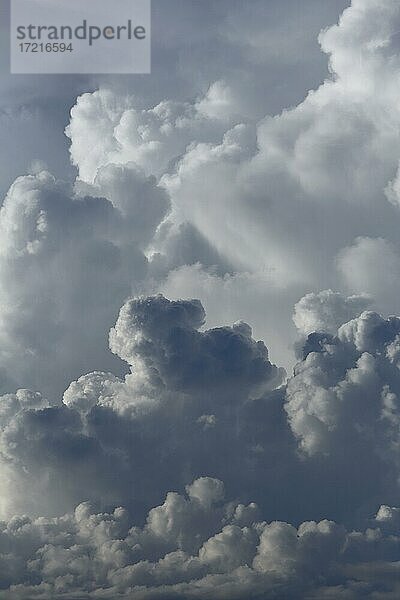 Gewitterwolken im Abendlicht  Provinz Quebec  Kanada  Nordamerika