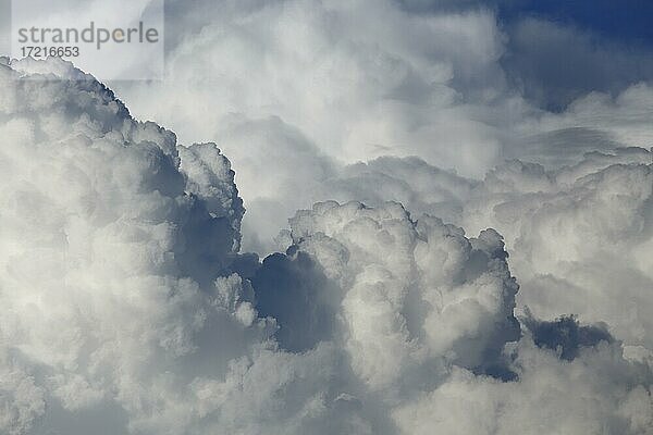 Gewitterwolken im Abendlicht  Provinz Quebec  Kanada  Nordamerika