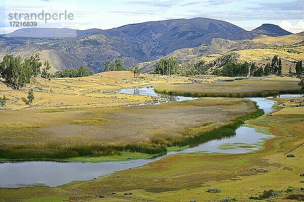 Sumpfige Flusslandschaft bei der Laguna Pumaqucha  Ruinen der Inka von Inti Watana  bei Ayacucho  Provinz Vilcas Huamán  Peru  Südamerika