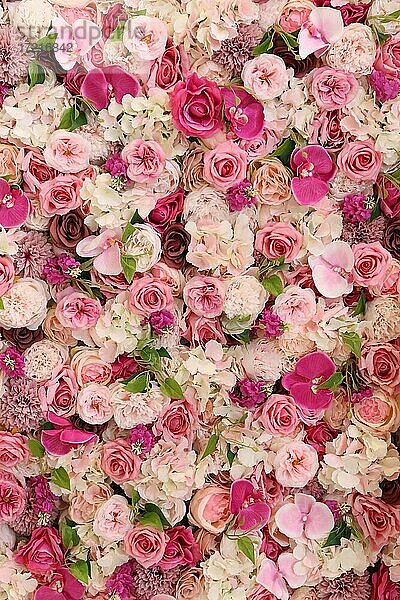Rosen  Nelken und verschiedene rosa Blüten  formatfüllend