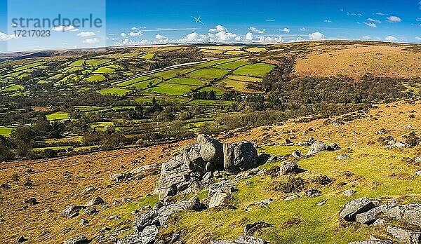 Felder und Wiesen in Haytor Rocks  Dartmoor Park  Devon  England  Vereinigtes Königreich