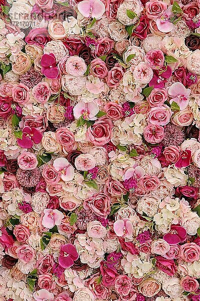 Rosen  Nelken und verschiedene rosa Blüten  formatfüllend