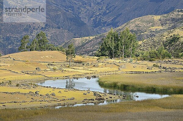 Sumpfige Flusslandschaft bei den Ruinen der Inka von Inti Watana  auch Pumaqucha  bei Ayacucho  Provinz Vilcas Huamán  Peru  Südamerika