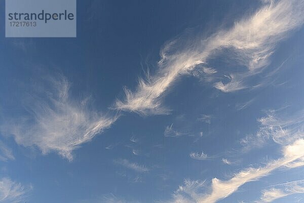 Federwolken (Cirrus) Deutschland