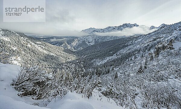 Ausblick über verschneites Tal in Richtung Reintal  Aufstieg zum Osterfelderkopf  Wettersteingebirge  Garmisch-Partenkirchen  Bayern  Deutschland  Europa