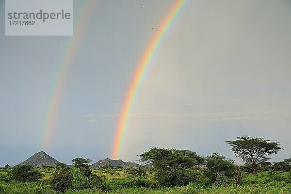Doppelter Regenbogen  Samburu National Reserve  Kenia  Afrika