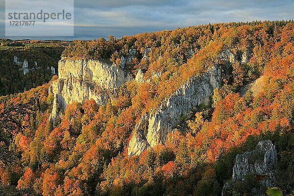 Kalksteinfels mit Mischwald in Herbstfärbung  Donautal  Bandfelsen  Leibertingen  Naturpark Obere Donau  Baden-Württemberg  Deutschland  Europa