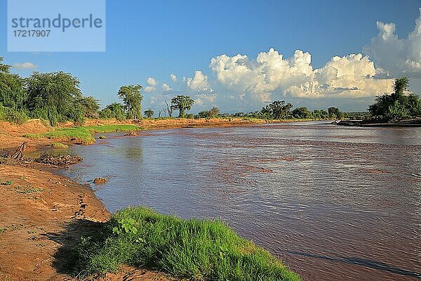 Ewaso River  Fluss mit Quellwolken  Samburu National Reserve  Kenia  Afrika