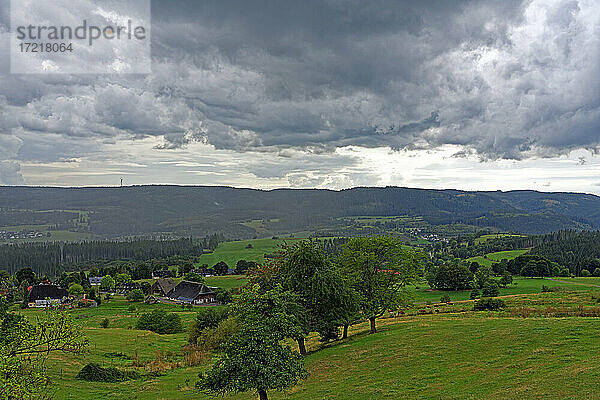 Landschaft