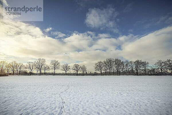 Schneebedeckte Weide mit Tier-Spuren an einem sonnigen Wintermorgen in der Schenefelder Feldmark.